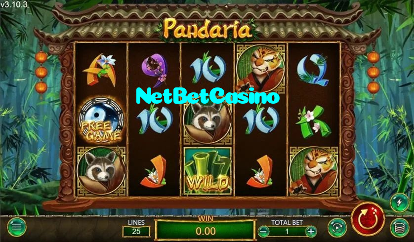 NetBetCasino casino presented on mobile device in Pakistan with slots and live games
